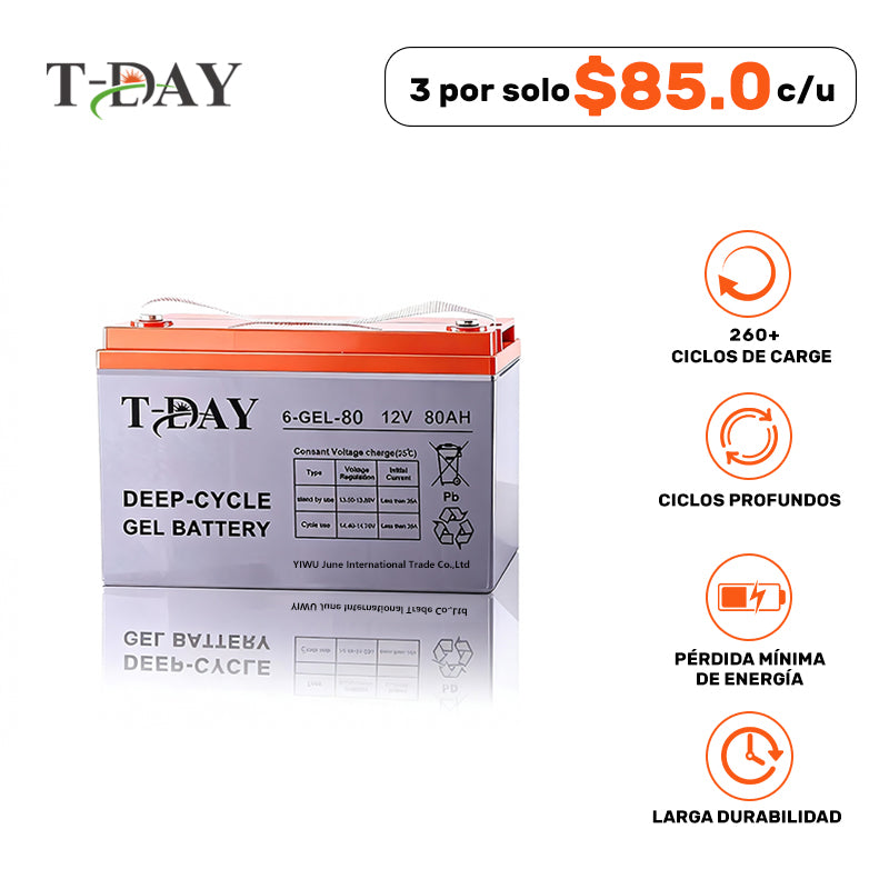 T-DAY Batería Solar de Gel de Ciclo Profundo 12V 80Ah
