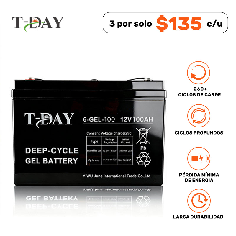T-DAY Batería Solar de Gel de Ciclo Profundo 12V 100Ah Pro